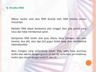 Bab 3 Substansi Materi Genetik.pdf