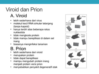 BAB tiga materi virus untuk siswa sekolah mengengah atas | PPTX
