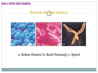 Bentuk-bentuk bakteri

a. Kokus (bulat); b. Basil (batang); c. Spiral

 