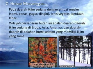 Hutan Musim di AS
Saat Musim Semi

Musim Salju

 