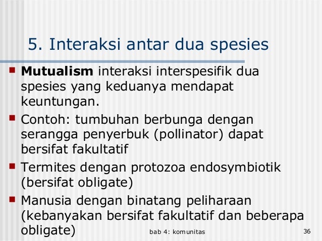 Bab 4. komunitas