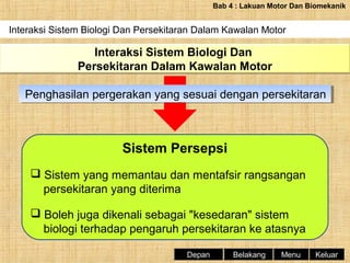 Bab 4 : Lakuan Motor Dan Biomekanik

Interaksi Sistem Biologi Dan Persekitaran Dalam Kawalan Motor

Interaksi Sistem Biologi Dan
Persekitaran Dalam Kawalan Motor
Penghasilan pergerakan yang sesuai dengan persekitaran
Penghasilan pergerakan yang sesuai dengan persekitaran

Sistem Persepsi
 Sistem yang memantau dan mentafsir rangsangan
persekitaran yang diterima
 Boleh juga dikenali sebagai "kesedaran" sistem
biologi terhadap pengaruh persekitaran ke atasnya
Depan

Belakang

Menu

Keluar

 