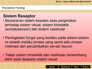 Bab 4 : Lakuan Motor Dan Biomekanik

Perubahan Fisiologi

Sistem Reseptor
• Berperanan dalam kawalan asas pergerakan
terhadap sistem visual, sistem kinestetik
(somatosensori) dan sistem vestibular
• Peningkatan fungsi yang berlaku pada sistem-sistem
ini adalah melalui proses yang sama iaitu proses
mielinasi dan percambahan sel-sel neuron
• Tetapi sistem kinestetik dan vestibular berkembang
lebih awal daripada sistem visual
Depan

Belakang

Menu

Keluar

 