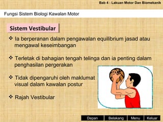 Bab 4 : Lakuan Motor Dan Biomekanik

Fungsi Sistem Biologi Kawalan Motor
Periodisasi Latihan Dan Fasa-fasa Latihan

Sistem Vestibular
Sistem Vestibular
 Ia berperanan dalam pengawalan equilibrium jasad atau
mengawal keseimbangan
 Terletak di bahagian tengah telinga dan ia penting dalam
penghasilan pergerakan
 Tidak dipengaruhi oleh maklumat
visual dalam kawalan postur
 Rajah Vestibular

Depan

Belakang

Menu

Keluar

 