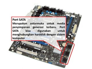 Port SATA 
Merupakan antarmuka untuk media 
penyimpanan generasi terbaru. Port 
SATA bisa digunakan untuk 
menghubungkan harddisk dengan sistem 
komputer 
 