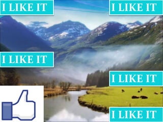 I LIKE IT I LIKE IT 
I LIKE IT 
I LIKE IT 
I LIKE IT 
 