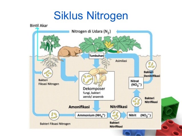 Partikel Penyusun Benda Dan Makhluk Hidup Ilmusosial Id