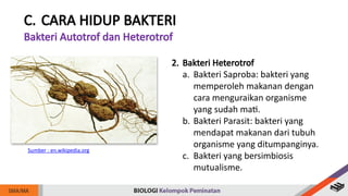 Comprehensive Overview of Archaebacteria and Eubacteria ...