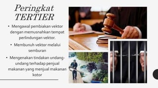 Peringkat
TERTIER
• Mengawal pembiakan vektor
dengan memusnahkan tempat
perlindungan vektor.
• Membunuh vektor melalui
semburan
• Mengenakan tindakan undang-
undang terhadap penjual
makanan yang menjual makanan
kotor
 