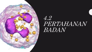 4.2
PERTAHANAN
BADAN
 