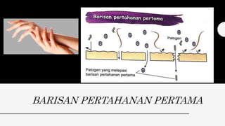 BARISAN PERTAHANAN PERTAMA
 