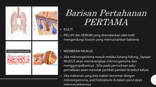 Barisan Pertahanan
PERTAMA
• KULIT
o PELUH dan SEBUM yang dirembeskan oleh kulit
mengandungi lisozim yang memusnahkan bakteria
• MEMBRAN MUKUS
o Jika mikroorganisma masuk melalui lubang hidung , lapisan
MUKUS akan memerangkap mikroorganisma dan
menggumpalkannya . Silia pada permukaan salur
pernafasan akan menolak pertikel-partikel tersebut keluar
o Jika makanan yang kita makan tercemar dengan
mikroorganisma, asid hidroklorik di dalam perut akan
memusnahkannya
 