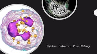 Rujukan : Buku FokusVisual Pelangi
 