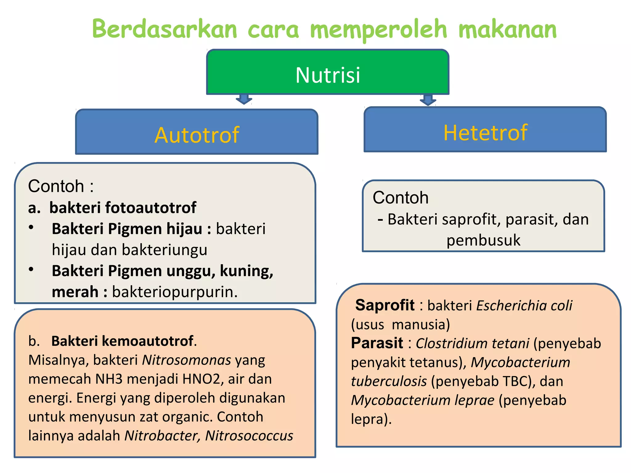 PPT MONERA | PPT