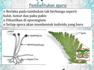 Pembentukan spora
o Berlaku pada tumbuhan tak berbunga seperti
kulat, lumut dan paku pakis
o Dihasilkan di sporangium
o Setiap spora akan membentuk individu yang baru
 