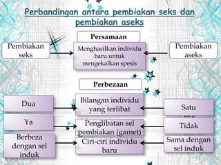 Perbandingan antara pembiakan seks dan
pembiakan aseks
Persamaan
Menghasilkan individu
baru untuk
mengekalkan spesis
Pembiakan
seks
Pembiakan
aseks
Bilangan individu
yang terlibat
Perbezaan
Penglibatan sel
pembiakan (gamet)
Ciri-ciri individu
baru
Dua
Ya
Berbeza
dengan sel
induk
Satu
Tidak
Sama dengan
sel induk
 