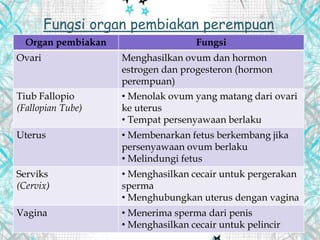 Fungsi organ pembiakan perempuan
Organ pembiakan Fungsi
Ovari Menghasilkan ovum dan hormon
estrogen dan progesteron (hormon
perempuan)
Tiub Fallopio
(Fallopian Tube)
• Menolak ovum yang matang dari ovari
ke uterus
• Tempat persenyawaan berlaku
Uterus • Membenarkan fetus berkembang jika
persenyawaan ovum berlaku
• Melindungi fetus
Serviks
(Cervix)
• Menghasilkan cecair untuk pergerakan
sperma
• Menghubungkan uterus dengan vagina
Vagina • Menerima sperma dari penis
• Menghasilkan cecair untuk pelincir
 