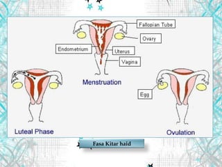 Fasa Kitar haid
 