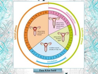 Fasa Kitar haid
 