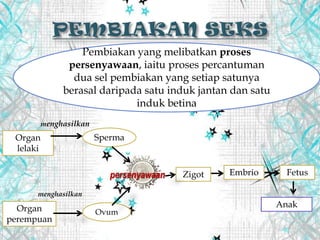 Pembiakan yang melibatkan proses
persenyawaan, iaitu proses percantuman
dua sel pembiakan yang setiap satunya
berasal daripada satu induk jantan dan satu
induk betina
Organ
lelaki
Organ
perempuan
Sperma
Ovum
Anak
Zigot
menghasilkan
menghasilkan
persenyawaan Embrio Fetus
 