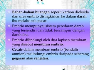  Bahan-bahan buangan seperti karbon dioksida
dan urea embrio disingkirkan ke dalam darah
ibu melalui tali pusat.
 Embrio mempunyai sistem peredaran darah
yang tersendiri dan tidak bercampur dengan
darah ibu.
 Embrio dilindungi oleh dua lapisan membran
yang disebut membran embrio.
 Cecair dalam membran embrio (bendalir
amnion) melindungi embrio daripada sebarang
gegaran atau renjatan.
 