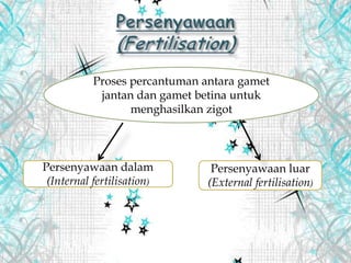 Proses percantuman antara gamet
jantan dan gamet betina untuk
menghasilkan zigot
Persenyawaan dalam
(Internal fertilisation)
Persenyawaan luar
(External fertilisation)
 
