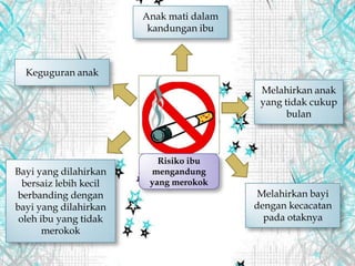 Risiko ibu
mengandung
yang merokok
Anak mati dalam
kandungan ibu
Keguguran anak
Bayi yang dilahirkan
bersaiz lebih kecil
berbanding dengan
bayi yang dilahirkan
oleh ibu yang tidak
merokok
Melahirkan bayi
dengan kecacatan
pada otaknya
Melahirkan anak
yang tidak cukup
bulan
 