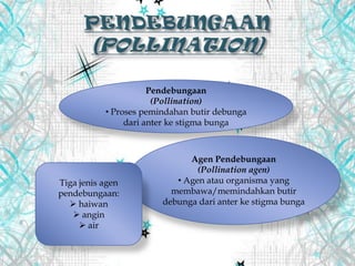 Pendebungaan
(Pollination)
• Proses pemindahan butir debunga
dari anter ke stigma bunga
Agen Pendebungaan
(Pollination agen)
• Agen atau organisma yang
membawa/memindahkan butir
debunga dari anter ke stigma bunga
Tiga jenis agen
pendebungaan:
 haiwan
 angin
 air
 