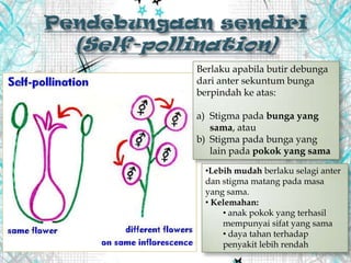 Berlaku apabila butir debunga
dari anter sekuntum bunga
berpindah ke atas:
a) Stigma pada bunga yang
sama, atau
b) Stigma pada bunga yang
lain pada pokok yang sama
•Lebih mudah berlaku selagi anter
dan stigma matang pada masa
yang sama.
• Kelemahan:
• anak pokok yang terhasil
mempunyai sifat yang sama
• daya tahan terhadap
penyakit lebih rendah
 
