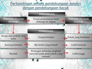 Perbandingan antara pendebungaan sendiri
dengan pendebungaan kacuk
PERSAMAAN
Proses pemindahan butir
debunga ke stigma
PERDEBUNGAAN
SENDIRI
PERDEBUNGAAN
KACUK
PERBEZAAN
Tempat berlaku
Biji benih yang terhasil
Rintangan terhadap jangkitan
penyakit pada anak pokok yang
terhasil
Bunga atau pokok yang
sama
Kurang bermutu
Rendah
Pokok yang berlainan
Lebih bermutu
Lebih tinggi
 