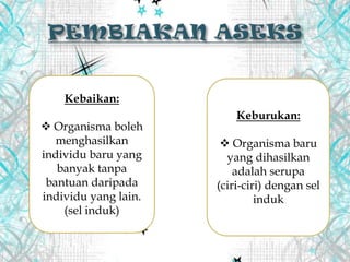 Kebaikan:
 Organisma boleh
menghasilkan
individu baru yang
banyak tanpa
bantuan daripada
individu yang lain.
(sel induk)
Keburukan:
 Organisma baru
yang dihasilkan
adalah serupa
(ciri-ciri) dengan sel
induk
 