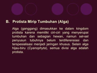 B. Protista Mirip Tumbuhan (Alga) 
Alga (ganggang) dimasukkan ke dalam kingdom 
protista karena memiliki ciri-ciri yang menyerupai 
tumbuhan dan sebagian hewan, namun sel-sel 
penyusun tubuhnya belum terdiferensiasi dan 
terspesialisasi menjadi jaringan khusus. Selain alga 
hijau-biru (Cyanophyta), semua divisi alga adalah 
protista. 
 