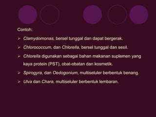 Contoh: 
 Clamydomonas, bersel tunggal dan dapat bergerak. 
 Chlorococcum, dan Chlorella, bersel tunggal dan sesil. 
 Chlorella digunakan sebagai bahan makanan suplemen yang 
kaya protein (PST), obat-obatan dan kosmetik. 
 Spirogyra, dan Oedogonium, multiseluler berbentuk benang. 
 Ulva dan Chara, multiseluler berbentuk lembaran. 
 