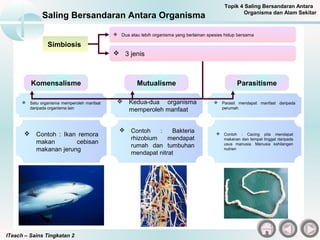 Jenis Interaksi Antara Organisma