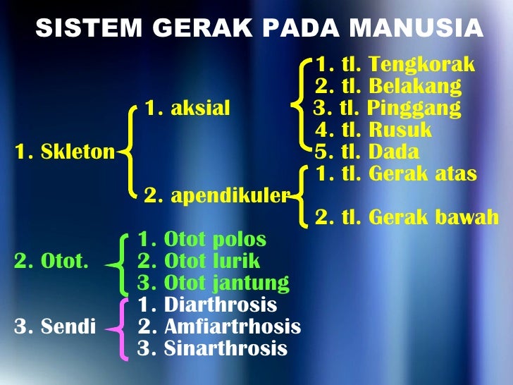 Bab 4 Sistem Gerak