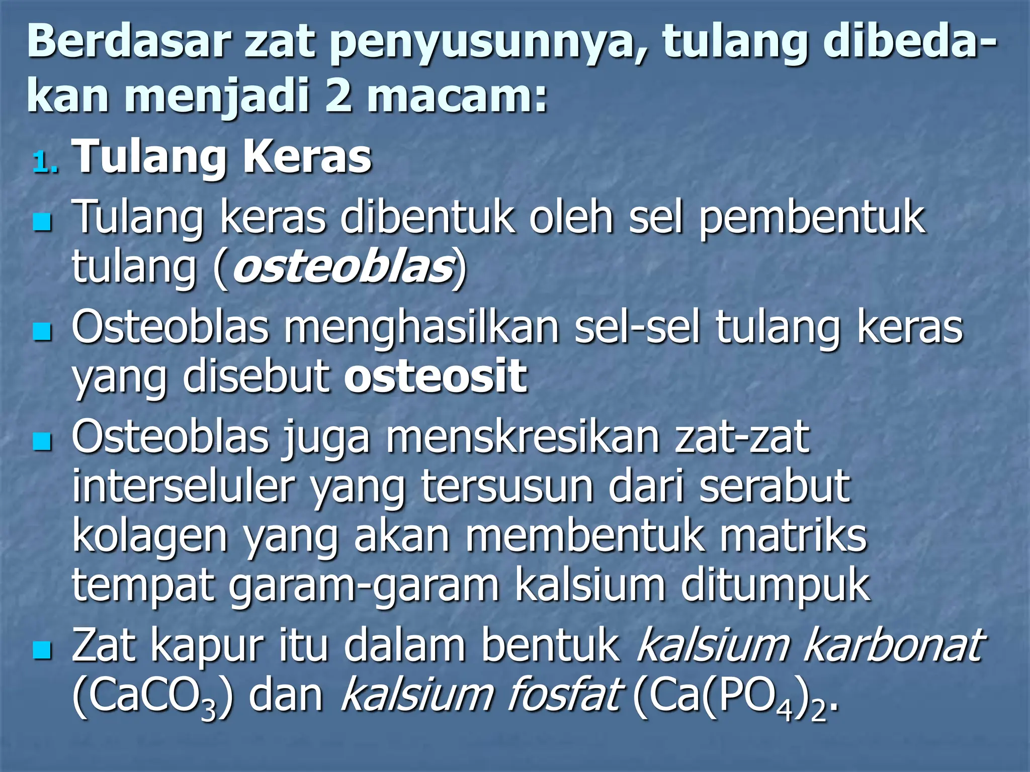 Berdasar zat penyusunnya, tulang dibeda-
kan menjadi 2 macam:
1. Tulang Keras
 Tulang keras dibentuk oleh sel pembentuk
tulang (osteoblas)
 Osteoblas menghasilkan sel-sel tulang keras
yang disebut osteosit
 Osteoblas juga menskresikan zat-zat
interseluler yang tersusun dari serabut
kolagen yang akan membentuk matriks
tempat garam-garam kalsium ditumpuk
 Zat kapur itu dalam bentuk kalsium karbonat
(CaCO3) dan kalsium fosfat (Ca(PO4)2.
 