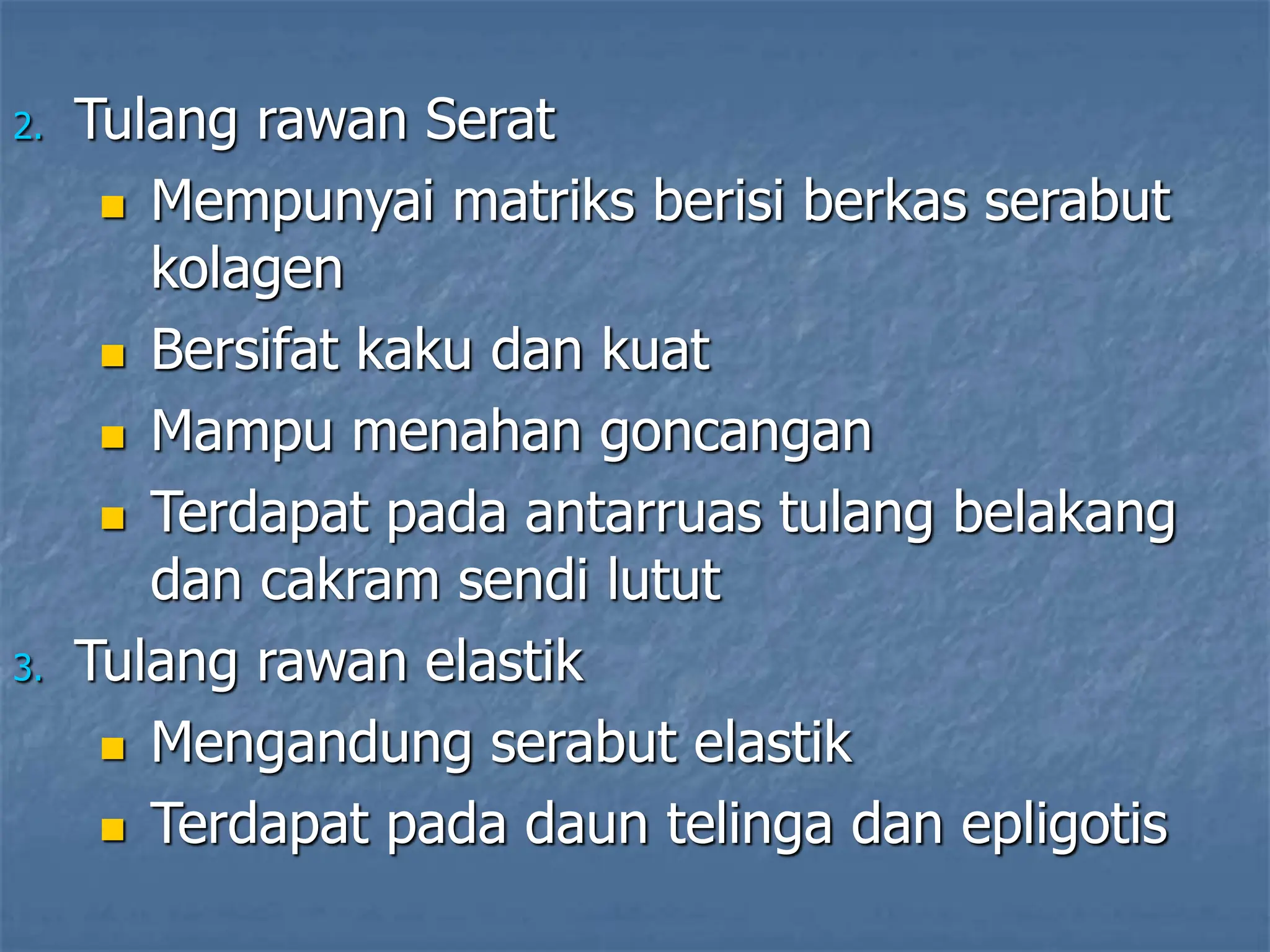 2. Tulang rawan Serat
 Mempunyai matriks berisi berkas serabut
kolagen
 Bersifat kaku dan kuat
 Mampu menahan goncangan
 Terdapat pada antarruas tulang belakang
dan cakram sendi lutut
3. Tulang rawan elastik
 Mengandung serabut elastik
 Terdapat pada daun telinga dan epligotis
 
