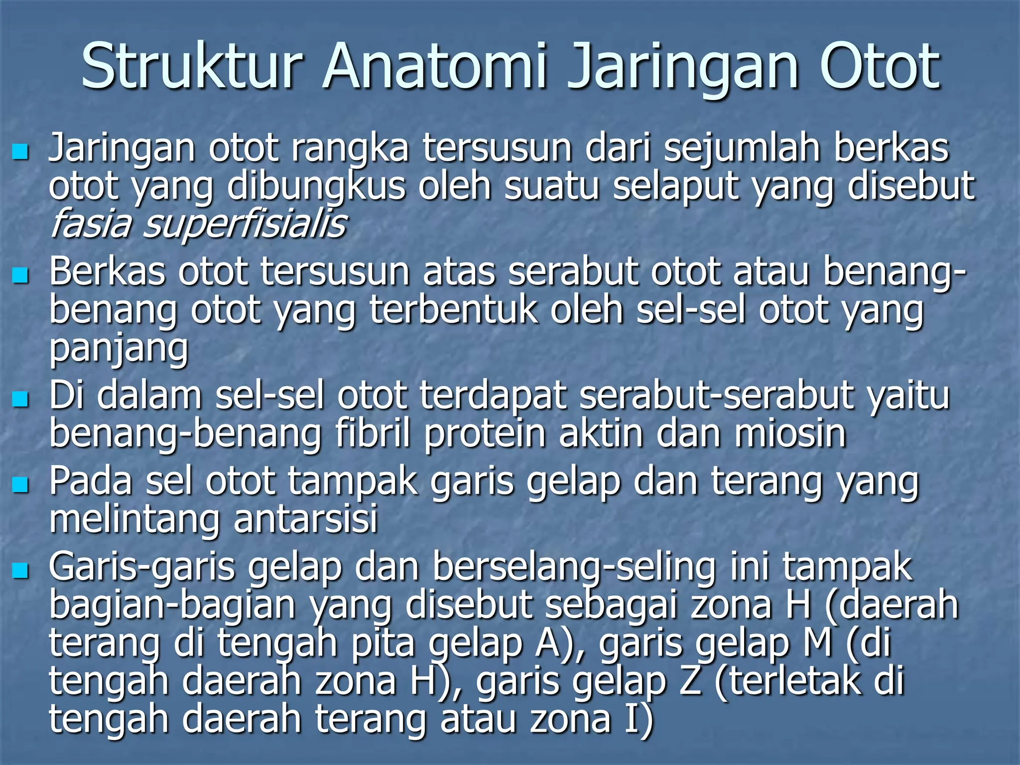 Struktur Anatomi Jaringan Otot
 Jaringan otot rangka tersusun dari sejumlah berkas
otot yang dibungkus oleh suatu selaput yang disebut
fasia superfisialis
 Berkas otot tersusun atas serabut otot atau benang-
benang otot yang terbentuk oleh sel-sel otot yang
panjang
 Di dalam sel-sel otot terdapat serabut-serabut yaitu
benang-benang fibril protein aktin dan miosin
 Pada sel otot tampak garis gelap dan terang yang
melintang antarsisi
 Garis-garis gelap dan berselang-seling ini tampak
bagian-bagian yang disebut sebagai zona H (daerah
terang di tengah pita gelap A), garis gelap M (di
tengah daerah zona H), garis gelap Z (terletak di
tengah daerah terang atau zona I)
 