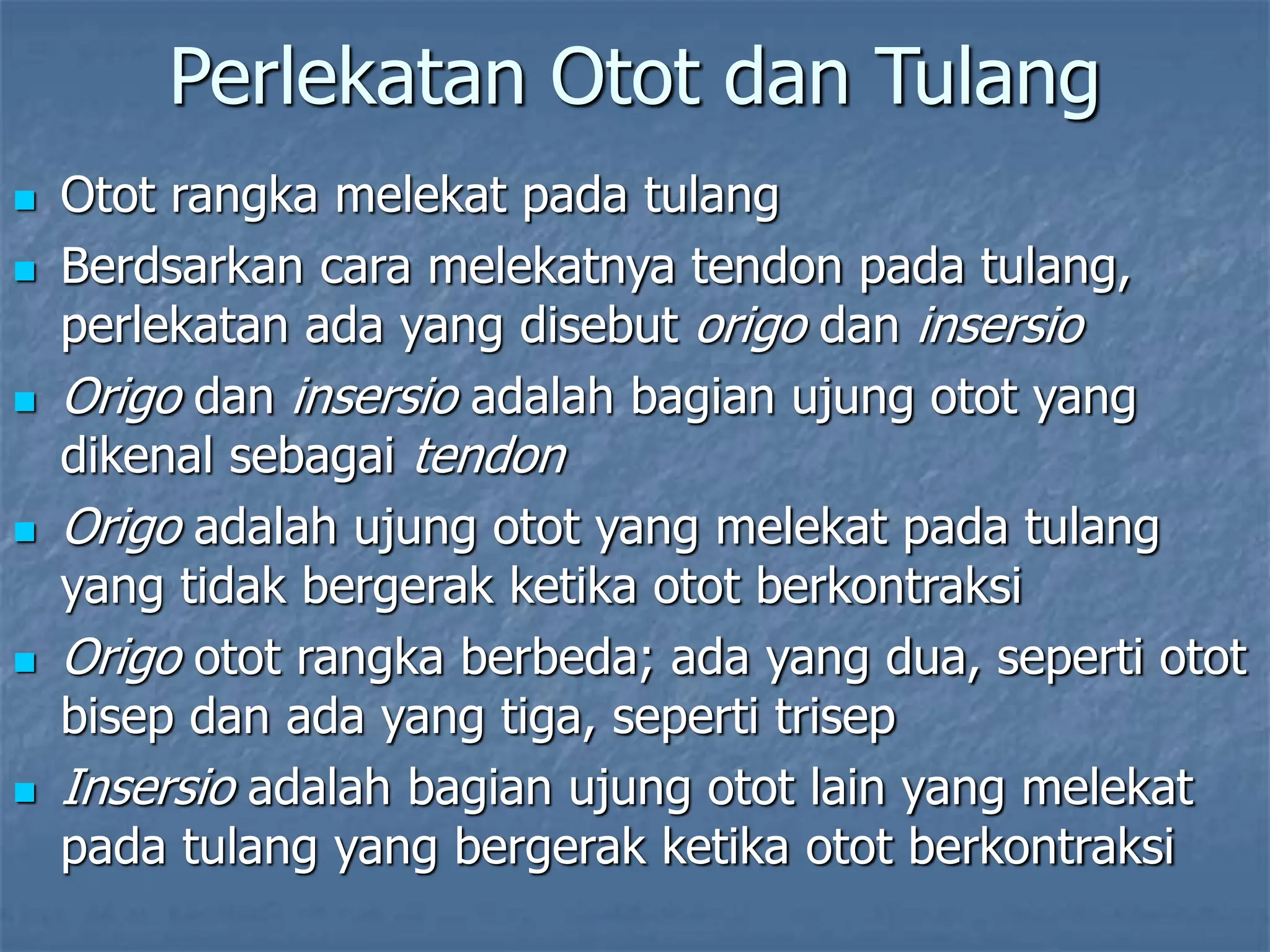 Perlekatan Otot dan Tulang
 Otot rangka melekat pada tulang
 Berdsarkan cara melekatnya tendon pada tulang,
perlekatan ada yang disebut origo dan insersio
 Origo dan insersio adalah bagian ujung otot yang
dikenal sebagai tendon
 Origo adalah ujung otot yang melekat pada tulang
yang tidak bergerak ketika otot berkontraksi
 Origo otot rangka berbeda; ada yang dua, seperti otot
bisep dan ada yang tiga, seperti trisep
 Insersio adalah bagian ujung otot lain yang melekat
pada tulang yang bergerak ketika otot berkontraksi
 