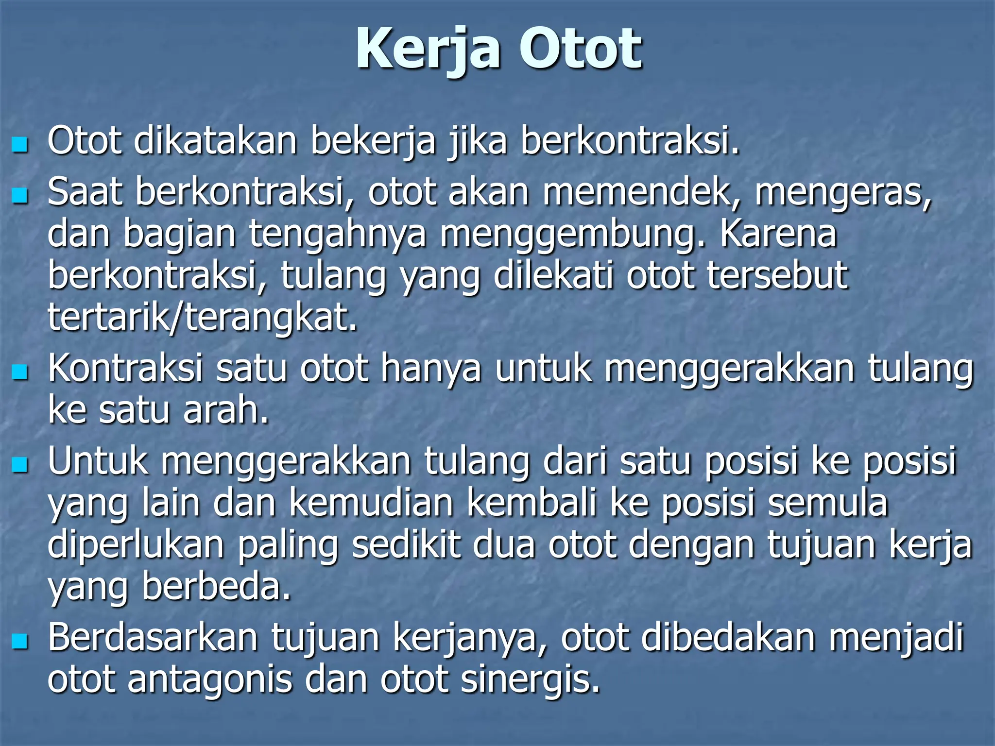 Kerja Otot
 Otot dikatakan bekerja jika berkontraksi.
 Saat berkontraksi, otot akan memendek, mengeras,
dan bagian tengahnya menggembung. Karena
berkontraksi, tulang yang dilekati otot tersebut
tertarik/terangkat.
 Kontraksi satu otot hanya untuk menggerakkan tulang
ke satu arah.
 Untuk menggerakkan tulang dari satu posisi ke posisi
yang lain dan kemudian kembali ke posisi semula
diperlukan paling sedikit dua otot dengan tujuan kerja
yang berbeda.
 Berdasarkan tujuan kerjanya, otot dibedakan menjadi
otot antagonis dan otot sinergis.
 