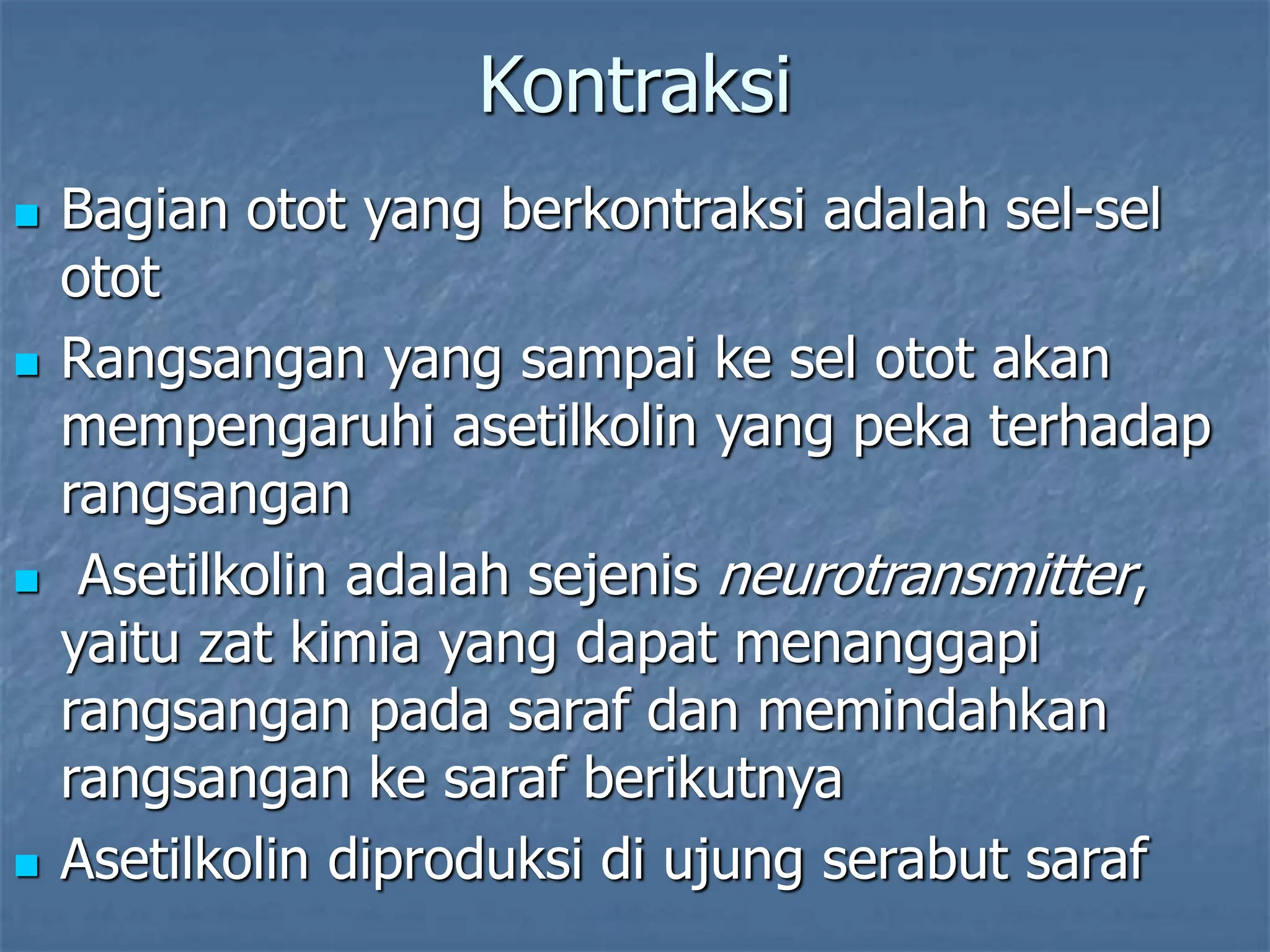 Kontraksi
 Bagian otot yang berkontraksi adalah sel-sel
otot
 Rangsangan yang sampai ke sel otot akan
mempengaruhi asetilkolin yang peka terhadap
rangsangan
 Asetilkolin adalah sejenis neurotransmitter,
yaitu zat kimia yang dapat menanggapi
rangsangan pada saraf dan memindahkan
rangsangan ke saraf berikutnya
 Asetilkolin diproduksi di ujung serabut saraf
 