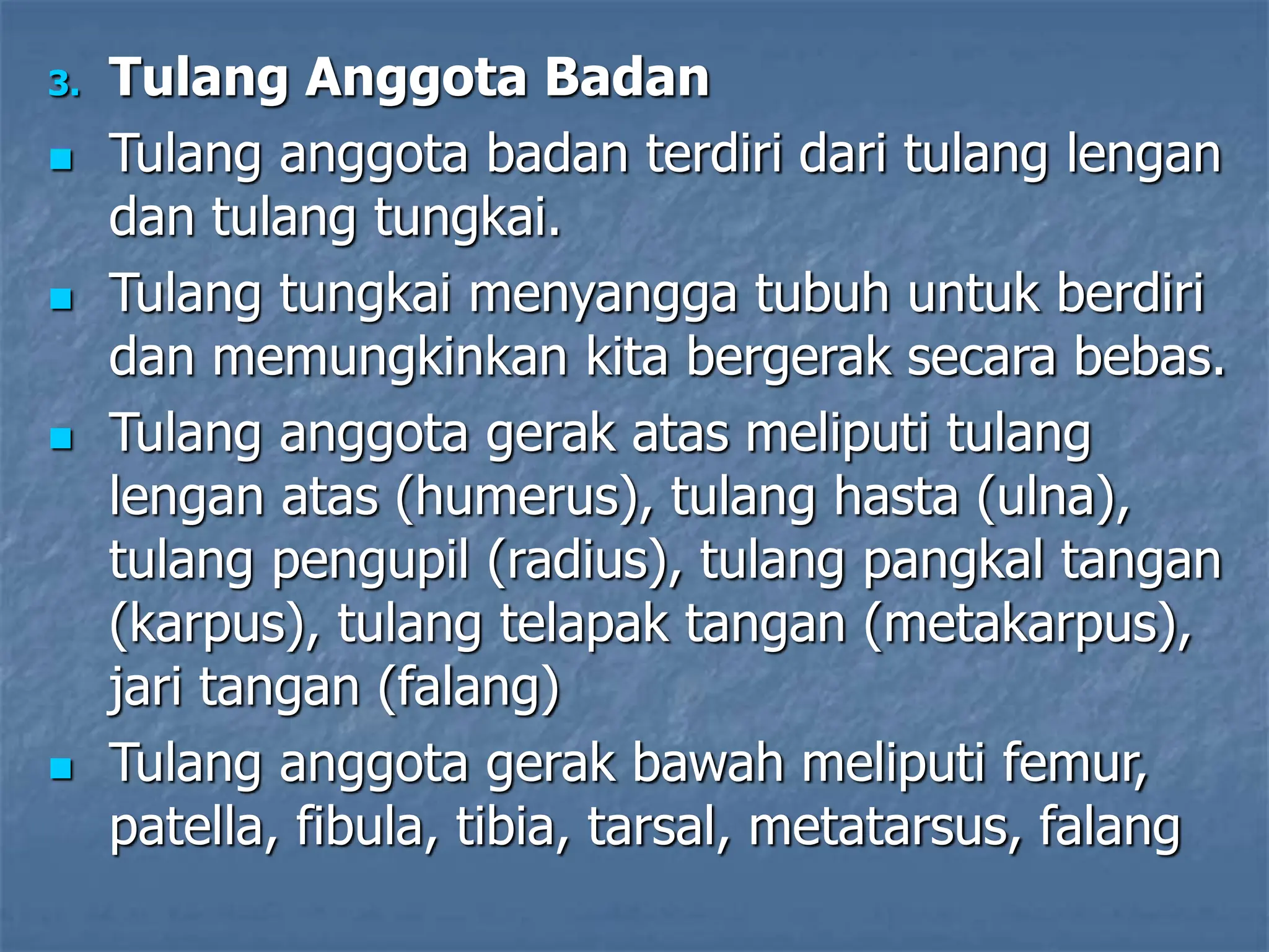 3. Tulang Anggota Badan
 Tulang anggota badan terdiri dari tulang lengan
dan tulang tungkai.
 Tulang tungkai menyangga tubuh untuk berdiri
dan memungkinkan kita bergerak secara bebas.
 Tulang anggota gerak atas meliputi tulang
lengan atas (humerus), tulang hasta (ulna),
tulang pengupil (radius), tulang pangkal tangan
(karpus), tulang telapak tangan (metakarpus),
jari tangan (falang)
 Tulang anggota gerak bawah meliputi femur,
patella, fibula, tibia, tarsal, metatarsus, falang
 