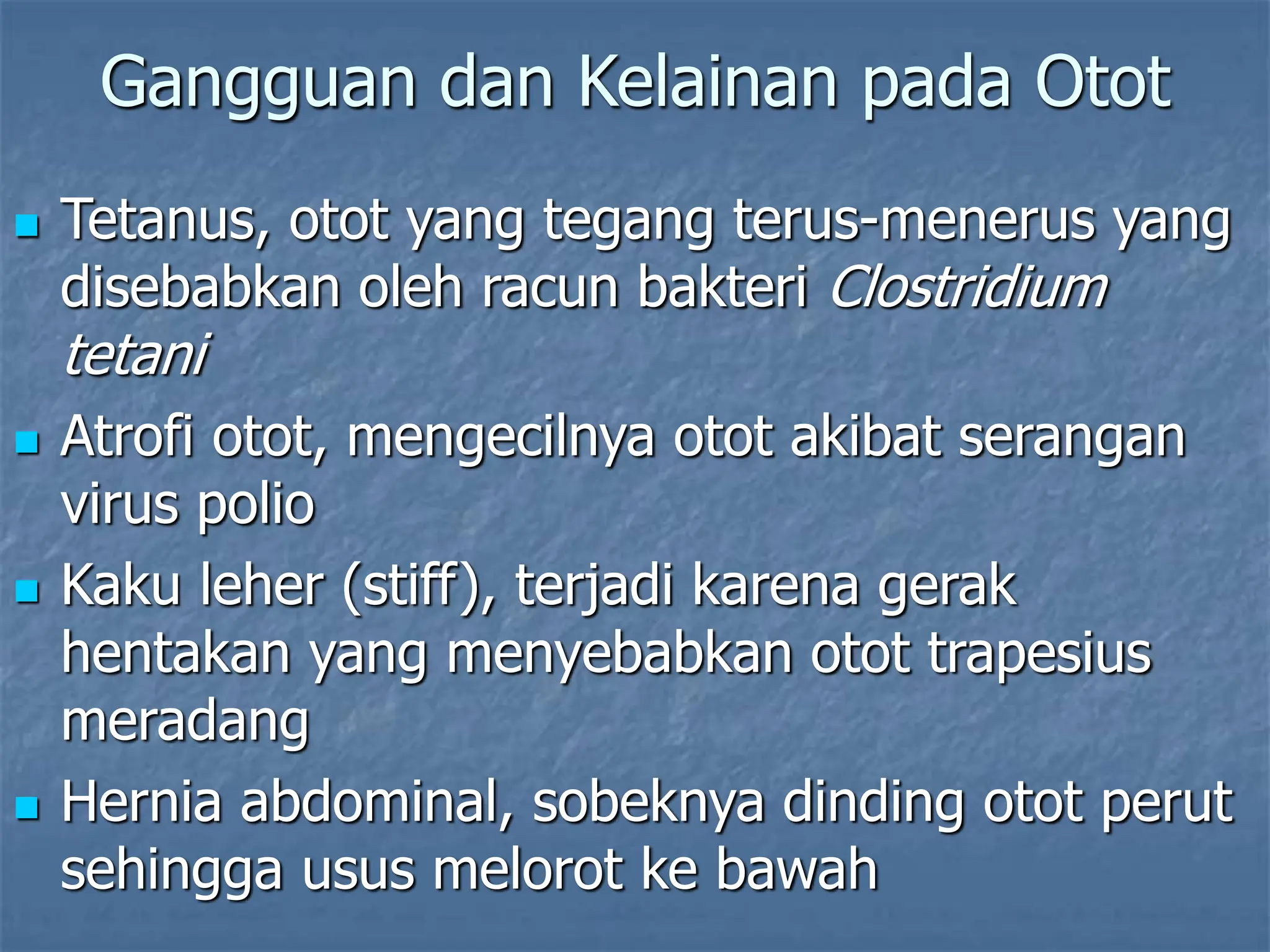 Gangguan dan Kelainan pada Otot
 Tetanus, otot yang tegang terus-menerus yang
disebabkan oleh racun bakteri Clostridium
tetani
 Atrofi otot, mengecilnya otot akibat serangan
virus polio
 Kaku leher (stiff), terjadi karena gerak
hentakan yang menyebabkan otot trapesius
meradang
 Hernia abdominal, sobeknya dinding otot perut
sehingga usus melorot ke bawah
 