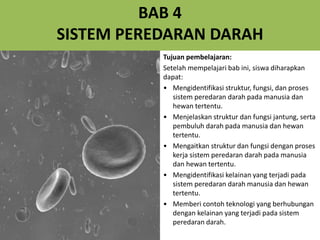 BAB 4
SISTEM PEREDARAN DARAH
Tujuan pembelajaran:
Setelah mempelajari bab ini, siswa diharapkan
dapat:
• Mengidentifikasi struktur, fungsi, dan proses
sistem peredaran darah pada manusia dan
hewan tertentu.
• Menjelaskan struktur dan fungsi jantung, serta
pembuluh darah pada manusia dan hewan
tertentu.
• Mengaitkan struktur dan fungsi dengan proses
kerja sistem peredaran darah pada manusia
dan hewan tertentu.
• Mengidentifikasi kelainan yang terjadi pada
sistem peredaran darah manusia dan hewan
tertentu.
• Memberi contoh teknologi yang berhubungan
dengan kelainan yang terjadi pada sistem
peredaran darah.
 