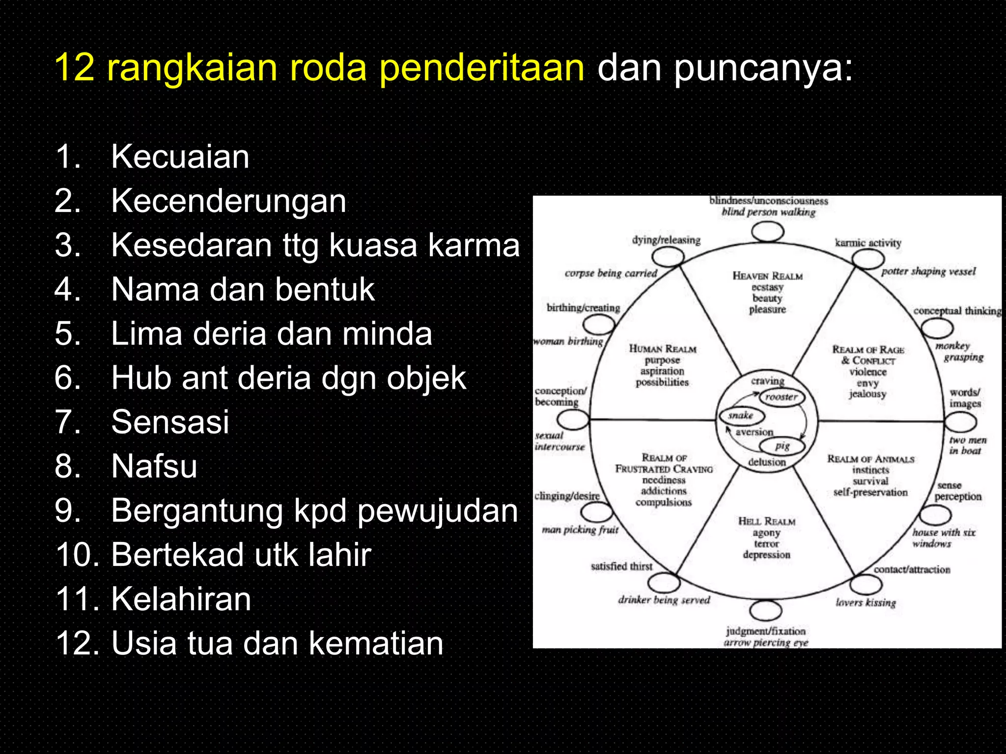 1. Kecuaian
2. Kecenderungan
3. Kesedaran ttg kuasa karma
4. Nama dan bentuk
5. Lima deria dan minda
6. Hub ant deria dgn objek
7. Sensasi
8. Nafsu
9. Bergantung kpd pewujudan
10. Bertekad utk lahir
11. Kelahiran
12. Usia tua dan kematian
12 rangkaian roda penderitaan dan puncanya:
 