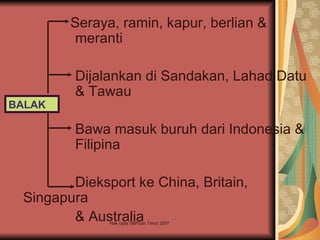 Seraya, ramin, kapur, berlian &
         meranti

         Dijalankan di Sandakan, Lahad Datu
         & Tawau
BALAK

         Bawa masuk buruh dari Indonesia &
         Filipina

        Dieksport ke China, Britain,
 Singapura
        & Australia
              Hak cipta SBPZon Timur 2007
 