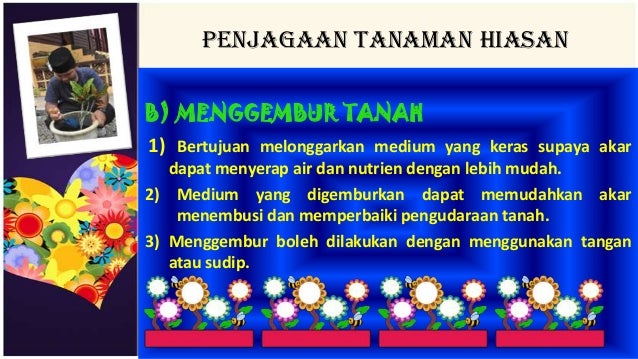 Bab 5 Tanaman Hiasan tingkatan 2