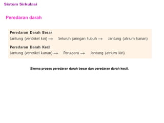 Peredaran darah 
Skema proses peredaran darah besar dan peredaran darah kecil. 
 