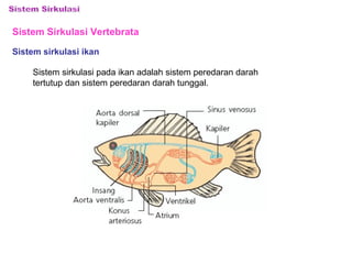 Sistem Sirkulasi Vertebrata 
Sistem sirkulasi ikan 
Sistem sirkulasi pada ikan adalah sistem peredaran darah 
tertutup dan sistem peredaran darah tunggal. 
 