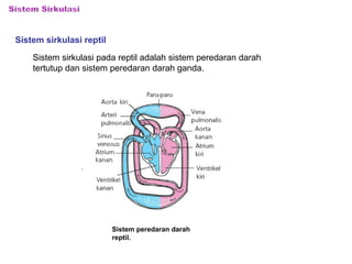 Sistem sirkulasi reptil 
Sistem sirkulasi pada reptil adalah sistem peredaran darah 
tertutup dan sistem peredaran darah ganda. 
Sistem peredaran darah 
reptil. 
 